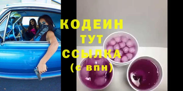 хмурый Абаза