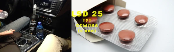 хмурый Абаза