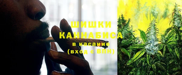хмурый Абаза