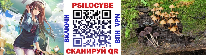 площадка формула  купить   Кедровый  Псилоцибиновые грибы Psilocybine cubensis 